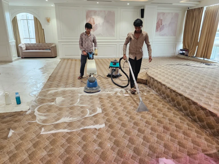 Unique sofa Carpet cleaning service