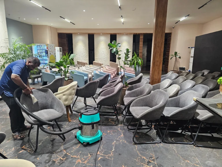 unique sofa cleanings chair cleaning service